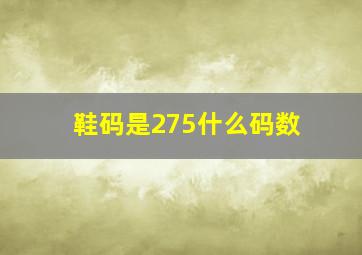 鞋码是275什么码数