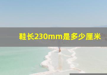 鞋长230mm是多少厘米