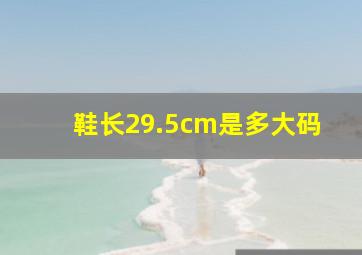 鞋长29.5cm是多大码