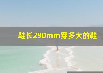 鞋长290mm穿多大的鞋