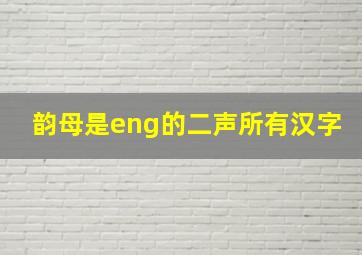 韵母是eng的二声所有汉字