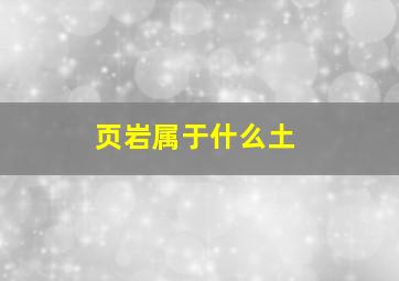 页岩属于什么土