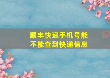 顺丰快递手机号能不能查到快递信息