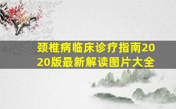 颈椎病临床诊疗指南2020版最新解读图片大全