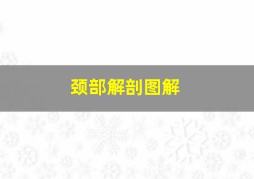 颈部解剖图解