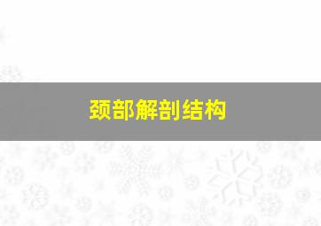 颈部解剖结构