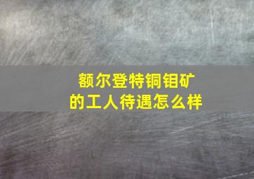 额尔登特铜钼矿的工人待遇怎么样