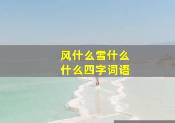 风什么雪什么什么四字词语