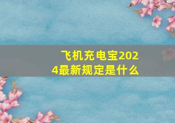 飞机充电宝2024最新规定是什么