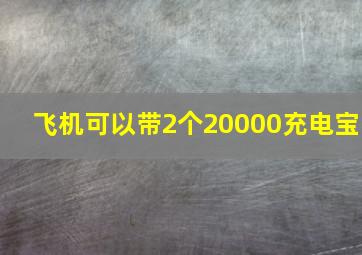 飞机可以带2个20000充电宝