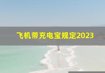 飞机带充电宝规定2023