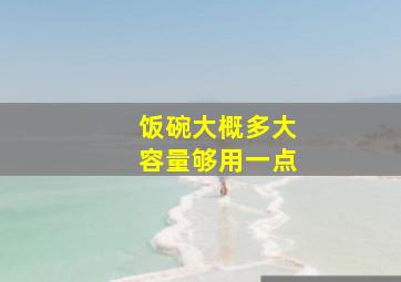 饭碗大概多大容量够用一点