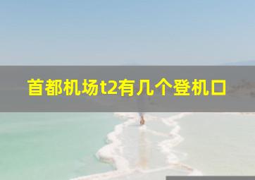 首都机场t2有几个登机口