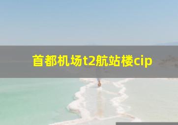 首都机场t2航站楼cip