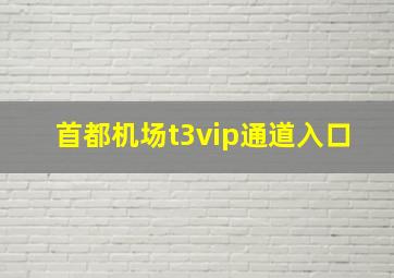 首都机场t3vip通道入口