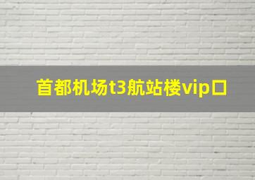 首都机场t3航站楼vip口