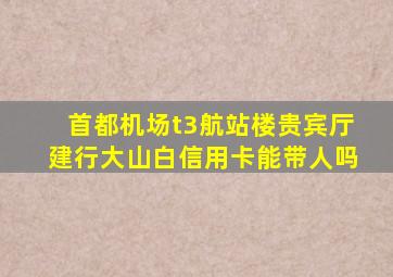 首都机场t3航站楼贵宾厅建行大山白信用卡能带人吗