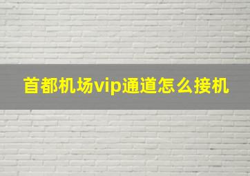 首都机场vip通道怎么接机