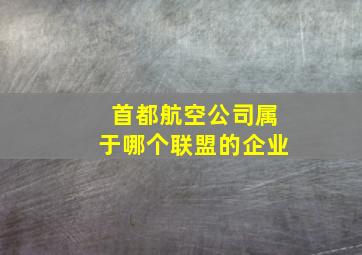 首都航空公司属于哪个联盟的企业