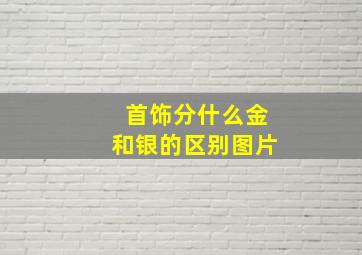 首饰分什么金和银的区别图片