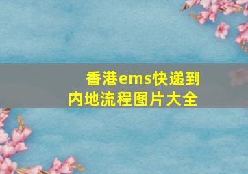 香港ems快递到内地流程图片大全