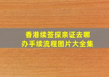 香港续签探亲证去哪办手续流程图片大全集