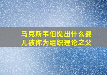 马克斯韦伯提出什么婴儿被称为组织理论之父