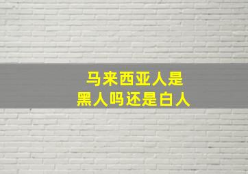 马来西亚人是黑人吗还是白人