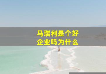 马瑞利是个好企业吗为什么