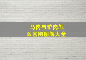 马肉与驴肉怎么区别图解大全