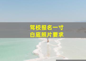 驾校报名一寸白底照片要求