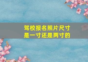 驾校报名照片尺寸是一寸还是两寸的