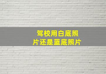 驾校用白底照片还是蓝底照片