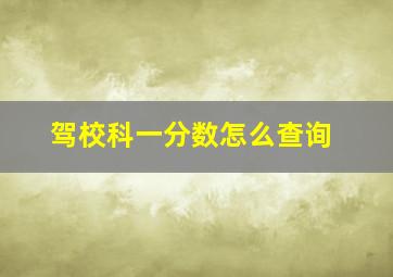 驾校科一分数怎么查询