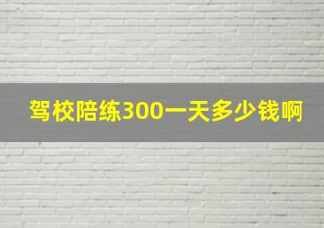 驾校陪练300一天多少钱啊