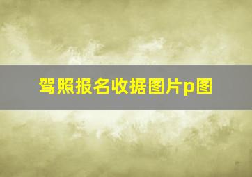 驾照报名收据图片p图