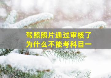 驾照照片通过审核了为什么不能考科目一