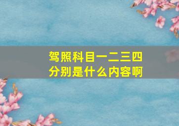 驾照科目一二三四分别是什么内容啊