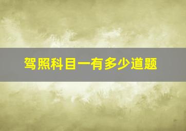 驾照科目一有多少道题