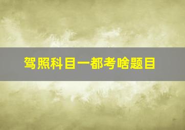 驾照科目一都考啥题目