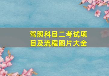 驾照科目二考试项目及流程图片大全