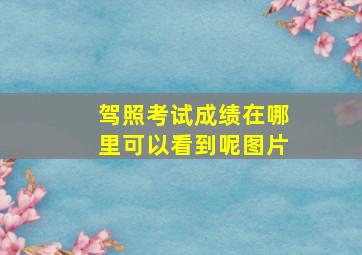 驾照考试成绩在哪里可以看到呢图片