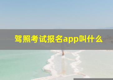 驾照考试报名app叫什么