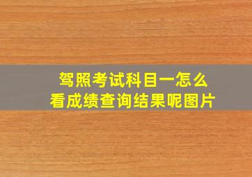 驾照考试科目一怎么看成绩查询结果呢图片