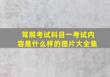 驾照考试科目一考试内容是什么样的图片大全集