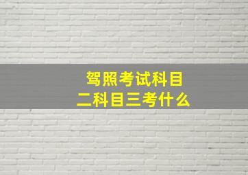 驾照考试科目二科目三考什么