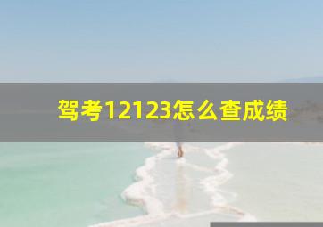 驾考12123怎么查成绩