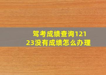 驾考成绩查询12123没有成绩怎么办理