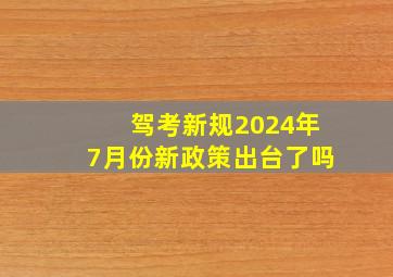 驾考新规2024年7月份新政策出台了吗