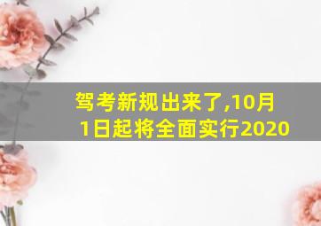 驾考新规出来了,10月1日起将全面实行2020